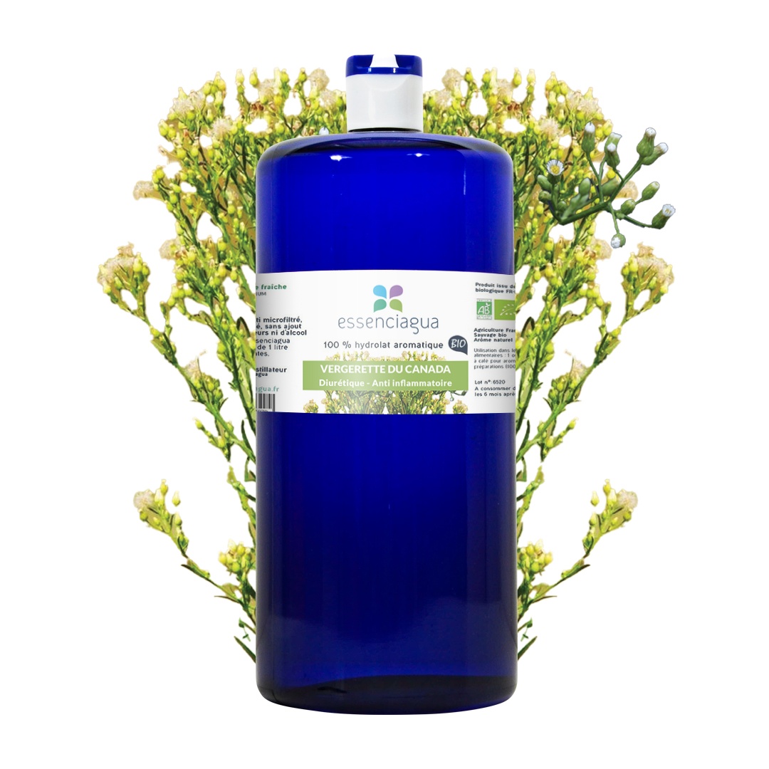 Hydrolat de Vergerette du Canada 100% biológico y artesanal — photo 3