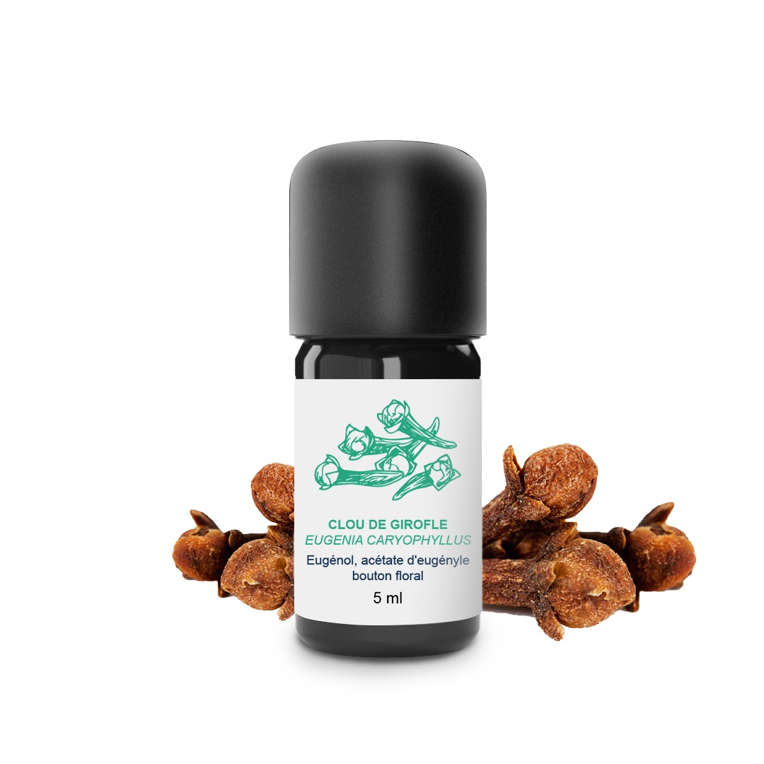 Aceite esencial de clavo 100% ecológico y artesanal