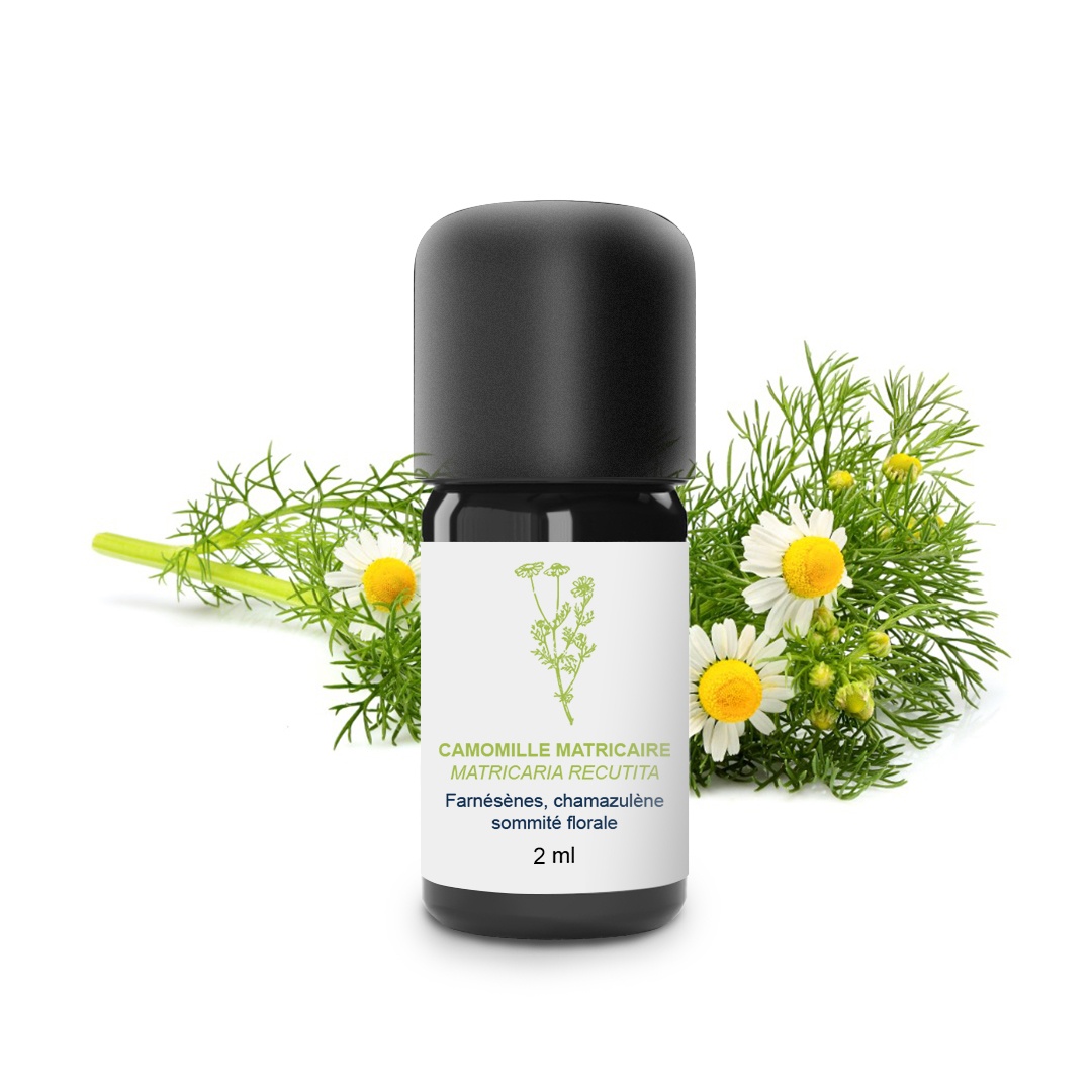 Aceite Esencial de Manzanilla Matricaria 100% Ecológico y Artesanal