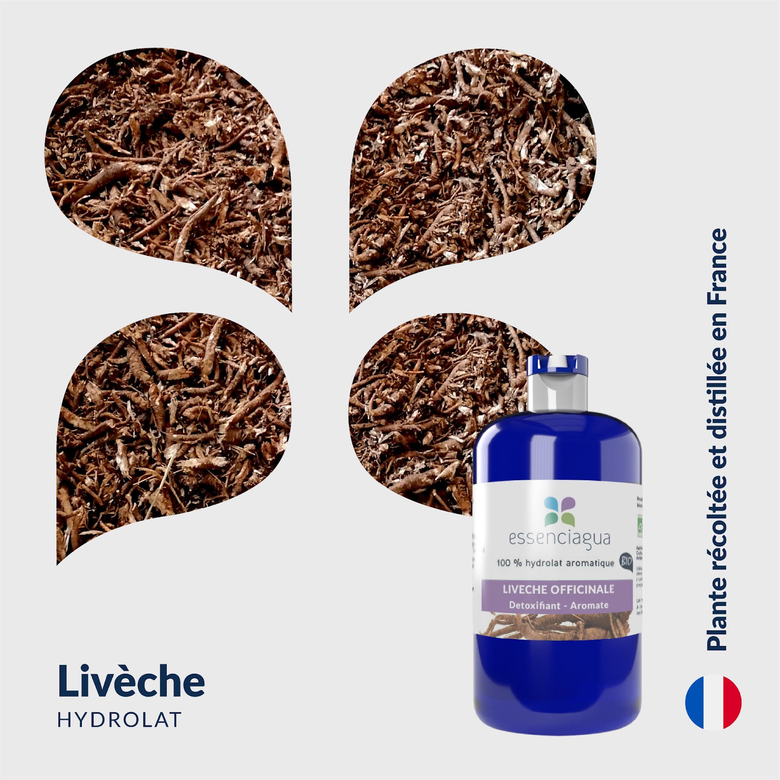 Enfoque del producto Hidrolato de levístico