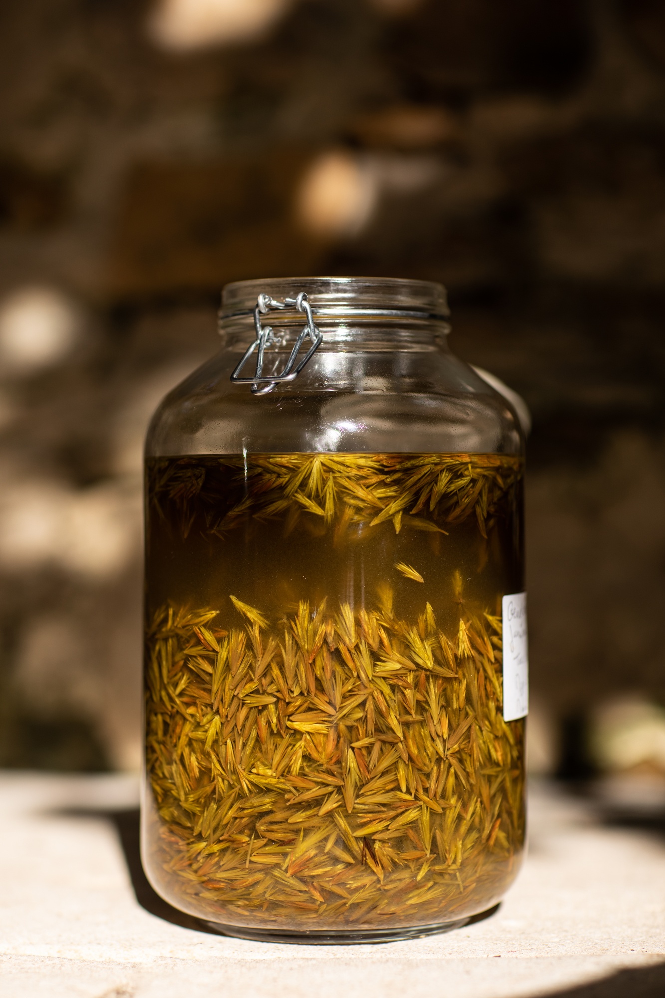 Decouvrez la distillation Macerado de yemas de enebro 100% ecológico y artesanal