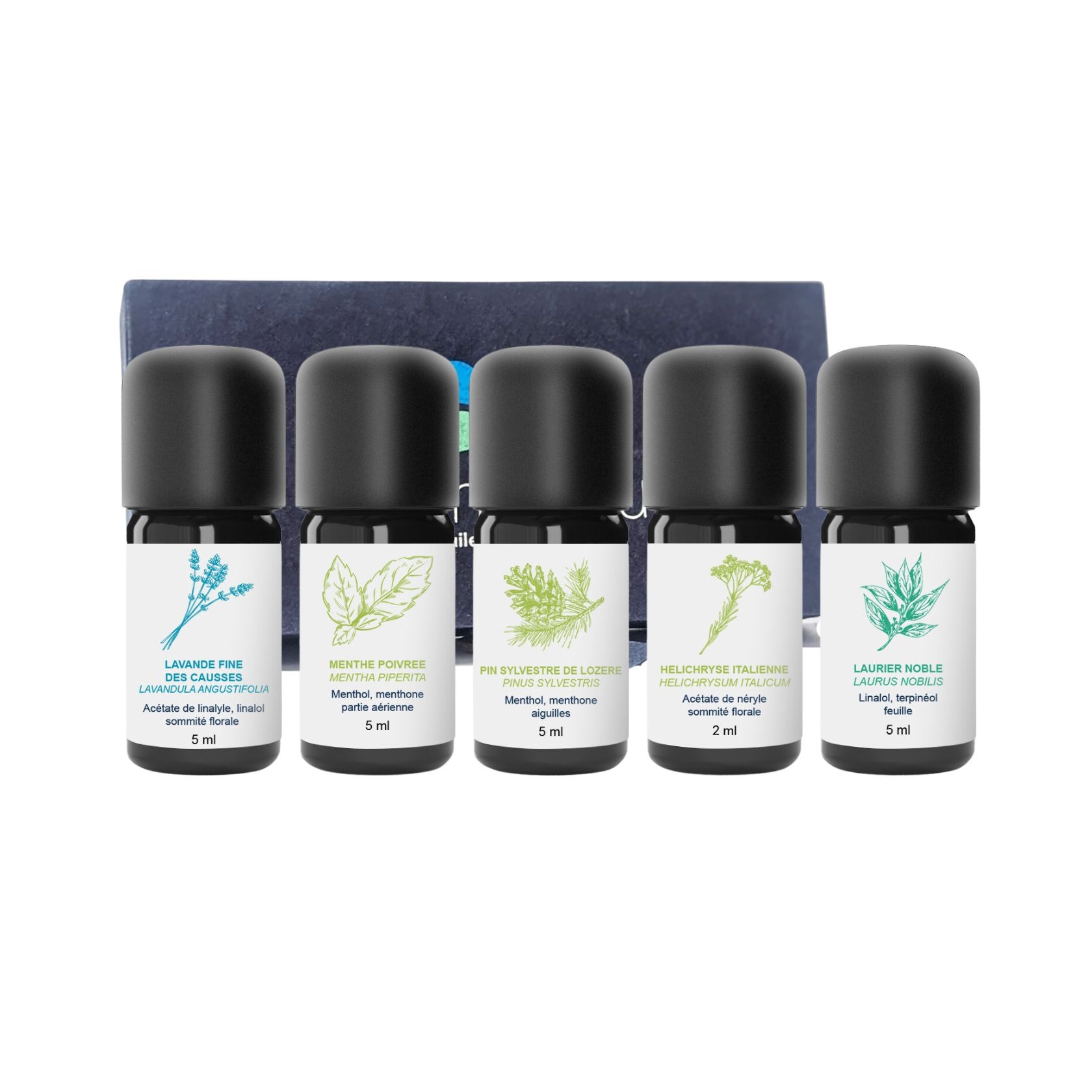Kit de Aceites Esenciales 100% Orgánicos y Artesanales