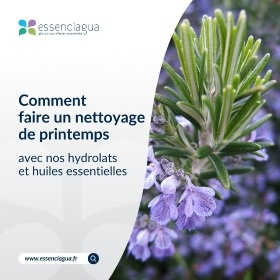 Recomendación de desintoxicación primaveral