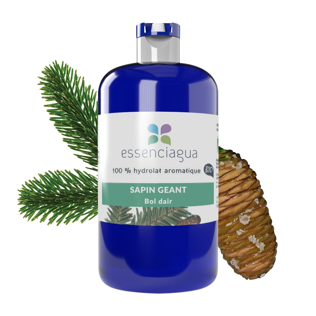 Hidrolato de abeto gigante 100% ecológico y artesanal