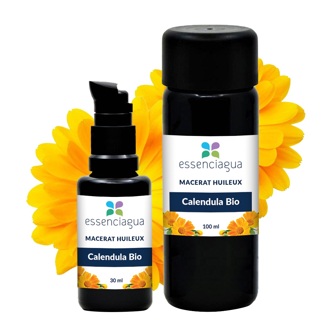 Macerado de caléndula