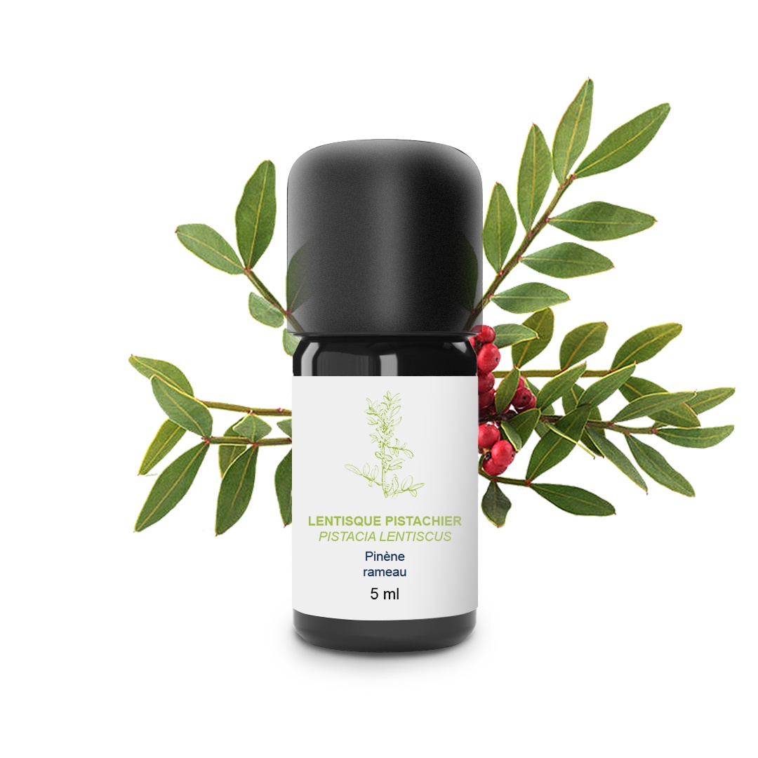Aceite Esencial de Lentisco de Pistacho 100% Ecológico y Artesanal