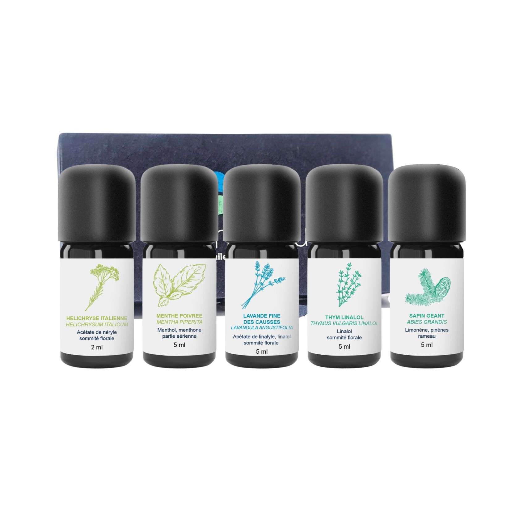 Kit Familiar de Aceites Esenciales 7/7 Días 100% Orgánico y Artesanal