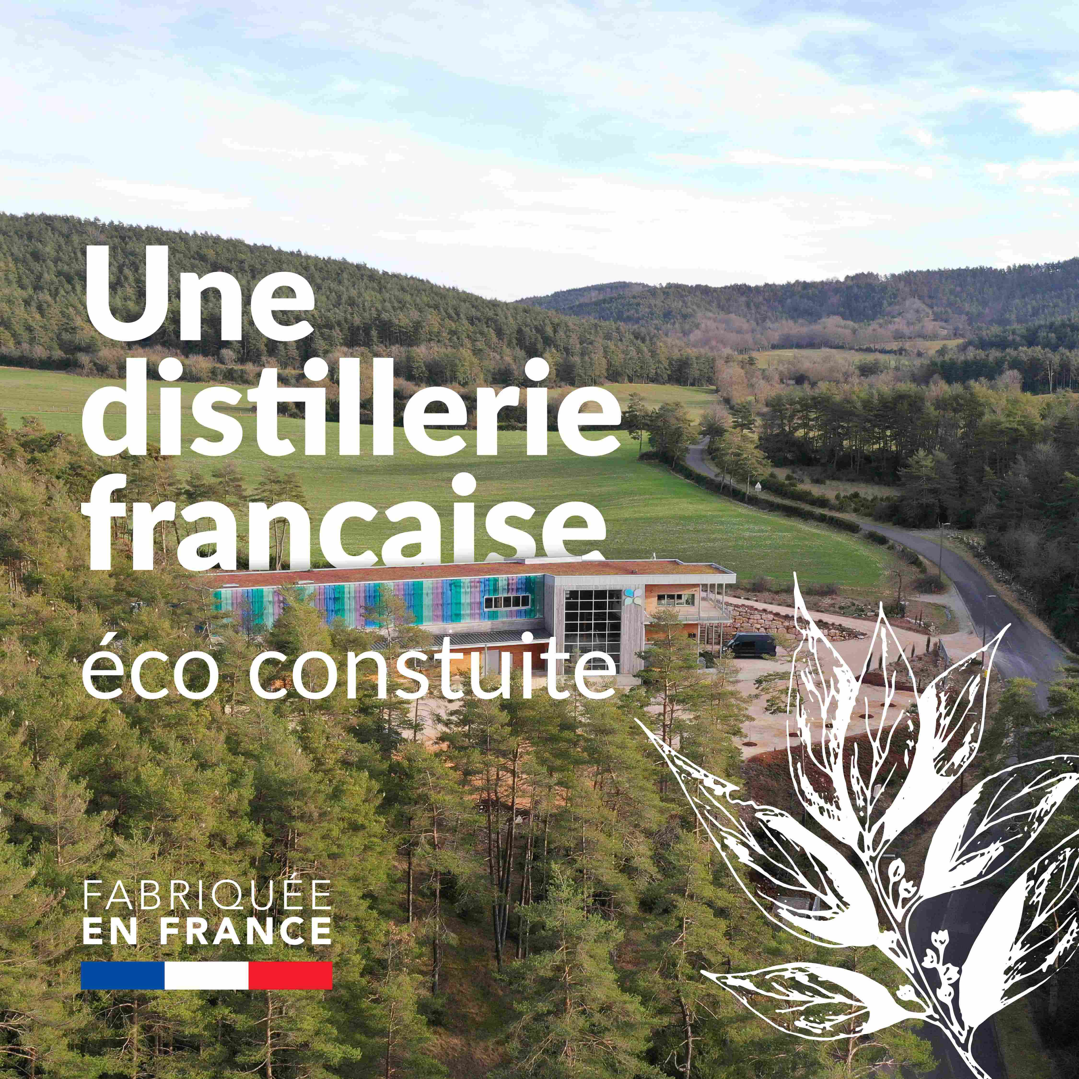 Aceite vegetal de albaricoque — photo 3