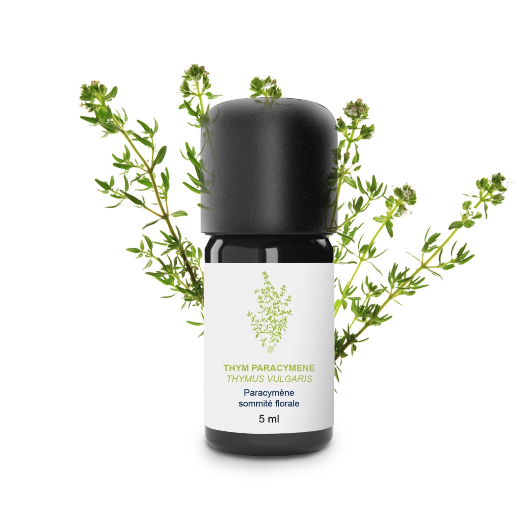 Paracymene Aceite Esencial de Tomillo 100% Ecológico y Artesanal
