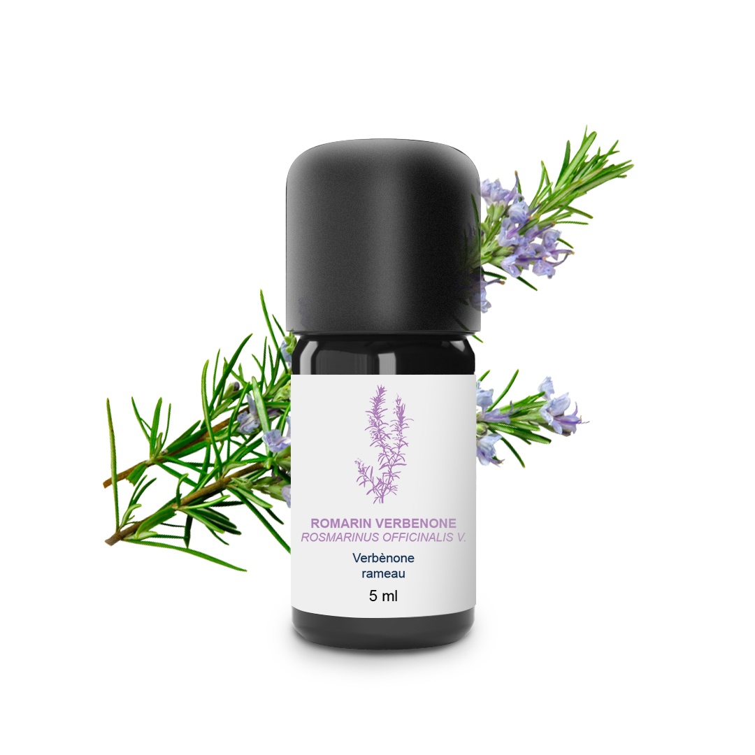 Aceite Esencial de Romero Verbenone 100% Orgánico y Artesanal