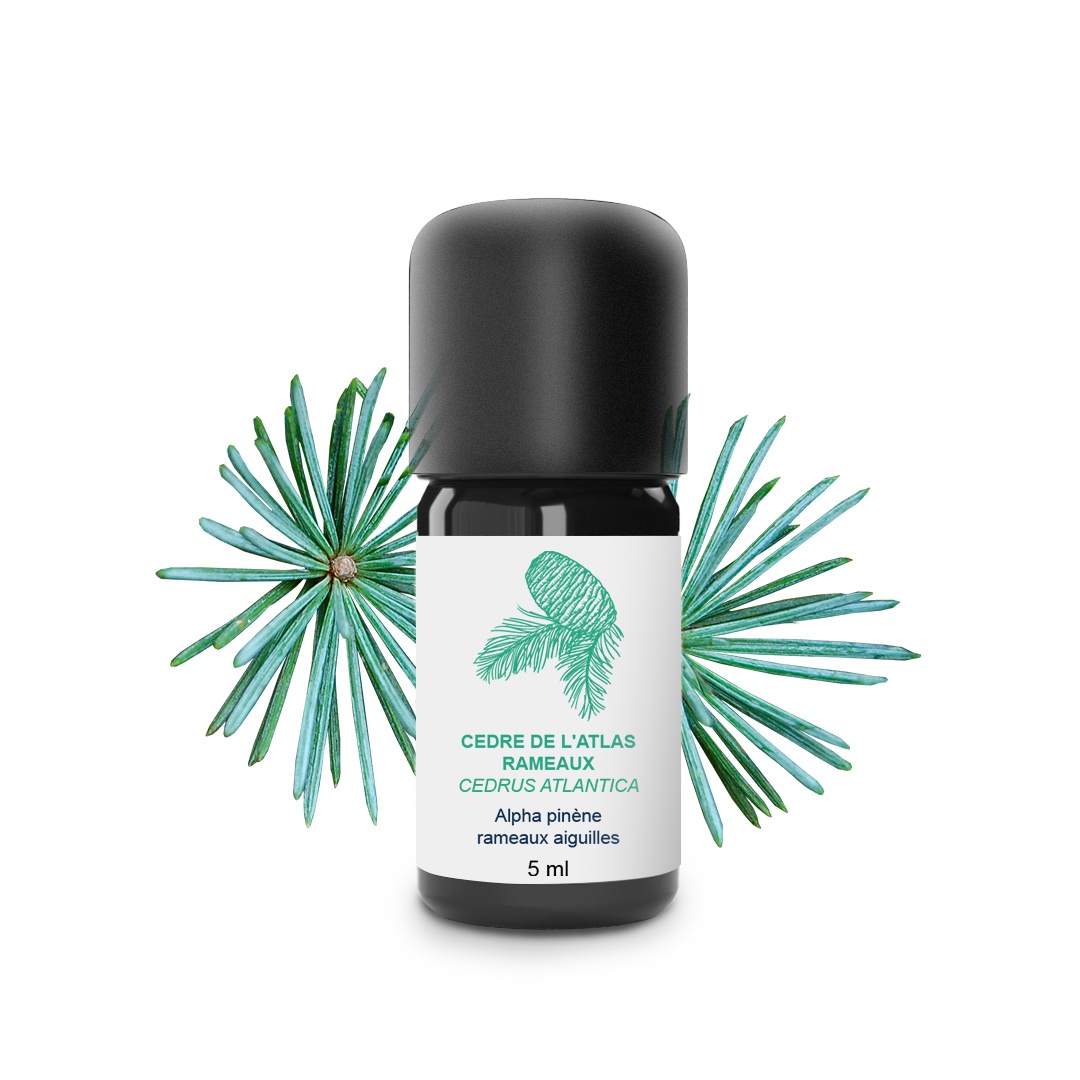 Aceite esencial de cedro del Atlas 100% ecológico y artesanal