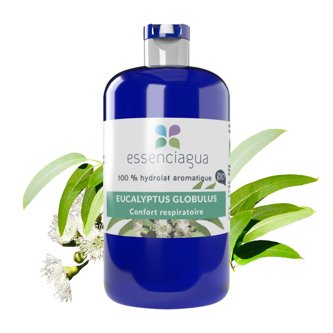 Hidrolato de eucalipto globulus 100% ecológico y artesanal