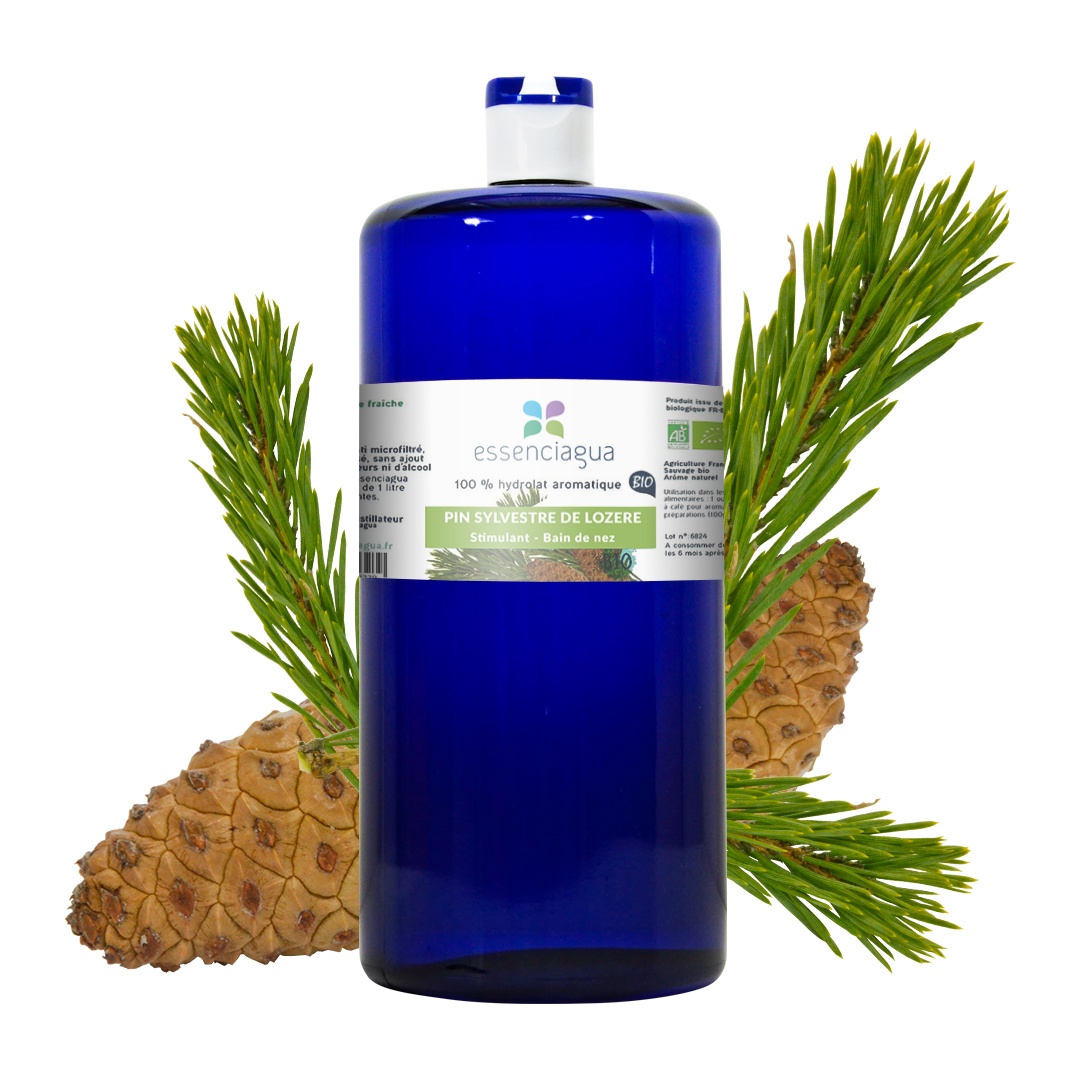 Hidrolato de pino silvestre 100% ecológico y artesanal — photo 3