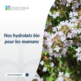 Recomendación de HA para las madres