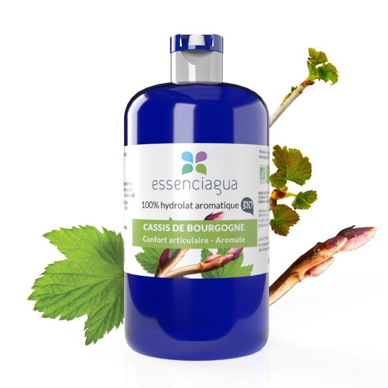 Hidrolato de grosella negra de Borgoña 100% ecológico y artesanal