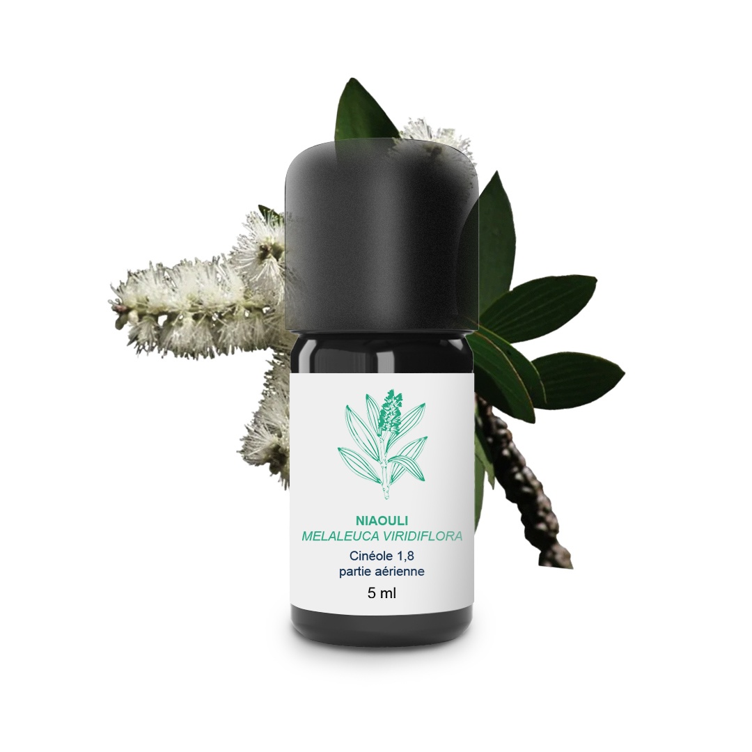 Aceite esencial de Niaouli 100% orgánico y artesanal