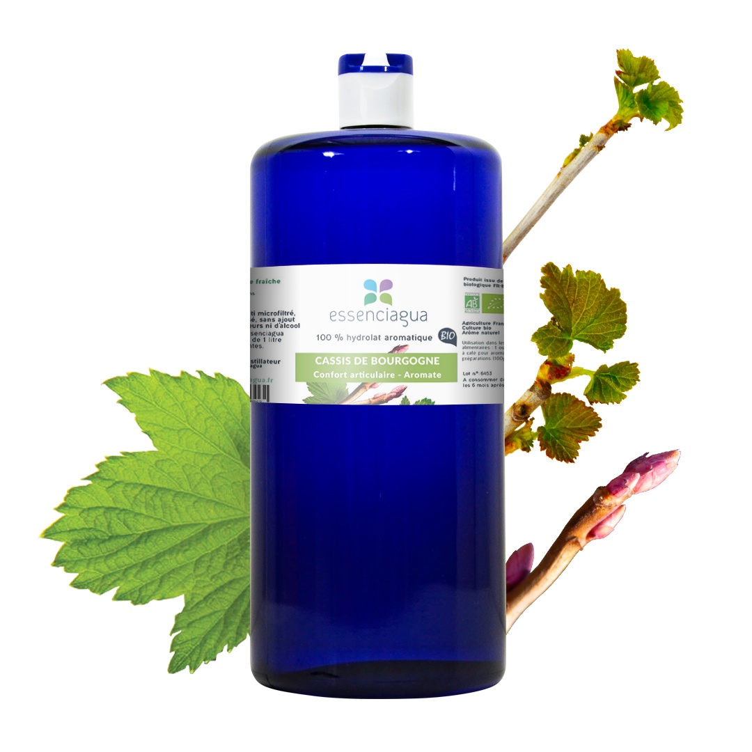 Hidrolato de grosella negra de Borgoña 100% ecológico y artesanal — photo 3