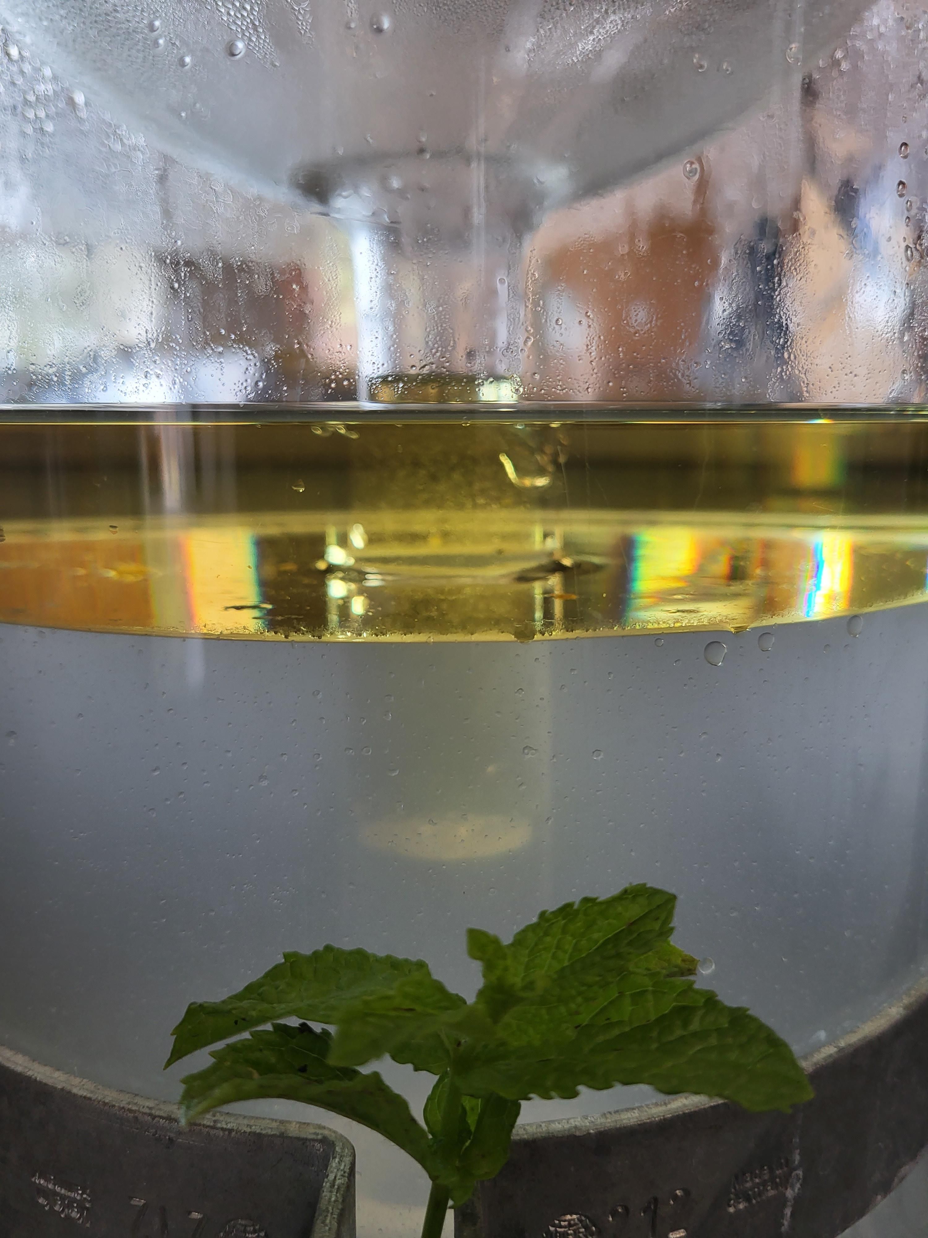 Decouvrez la distillation Aceite esencial de menta verde 100% ecológico y artesanal