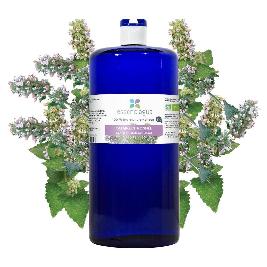 Catnip Limón Hydrolat 100% Ecológico y Artesanal — photo 3