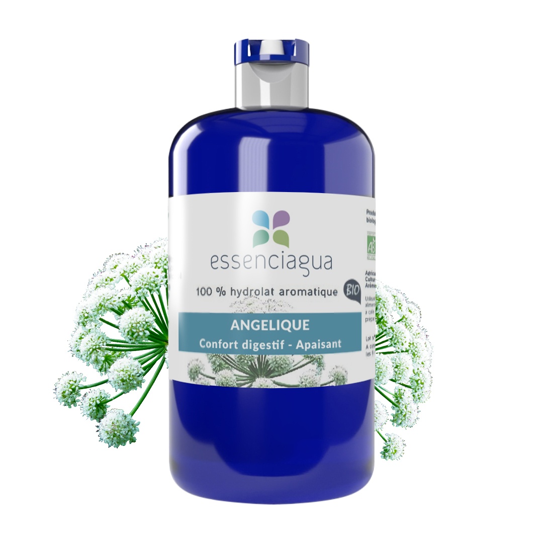 Hidrolato de Angélica (Raíz) 100% Orgánico y Artesanal