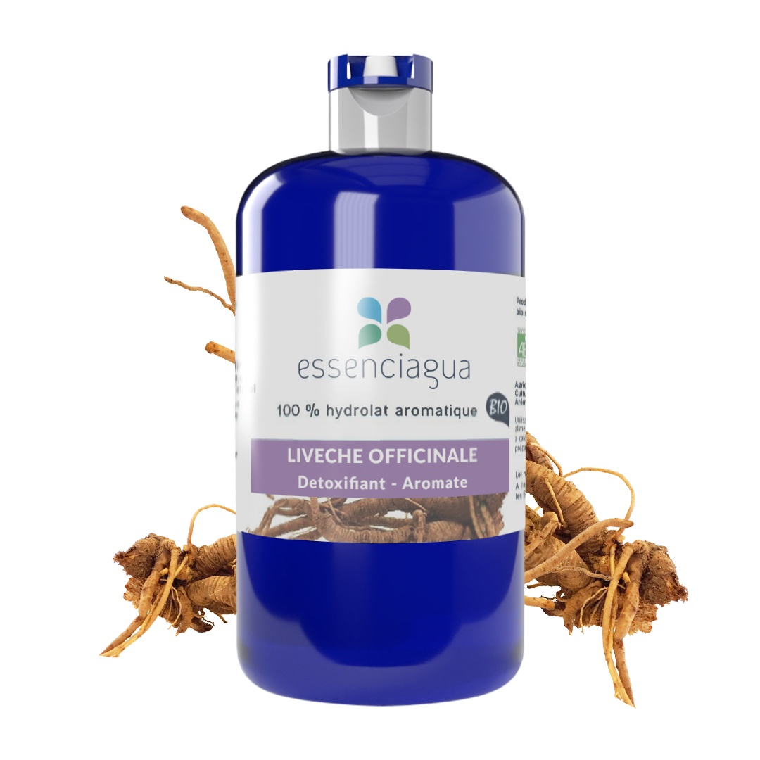 Hidrolato de Apio de monte (Raíz) 100% Ecológico y Artesanal