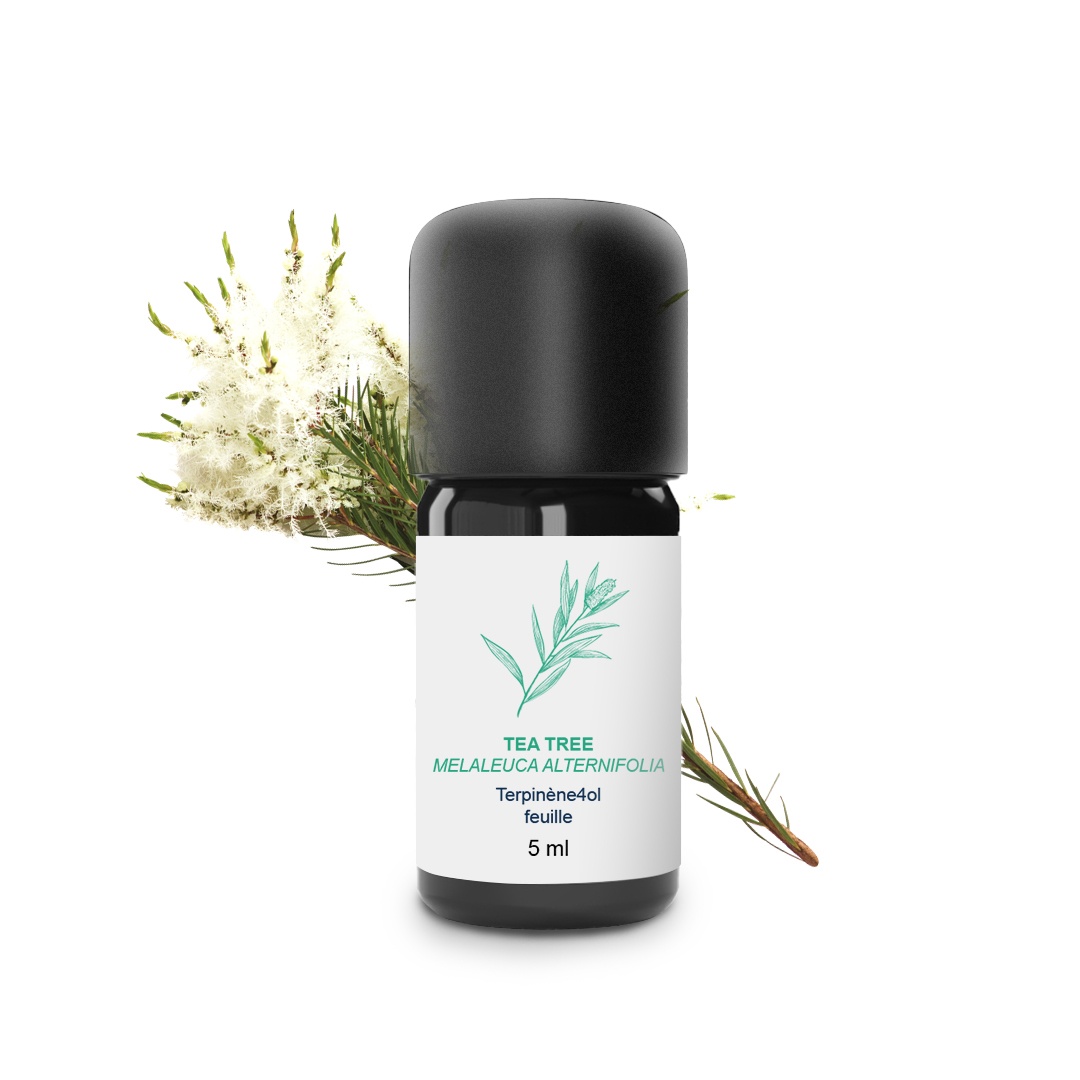 Aceite esencial del árbol del té 100% ecológico y artesanal