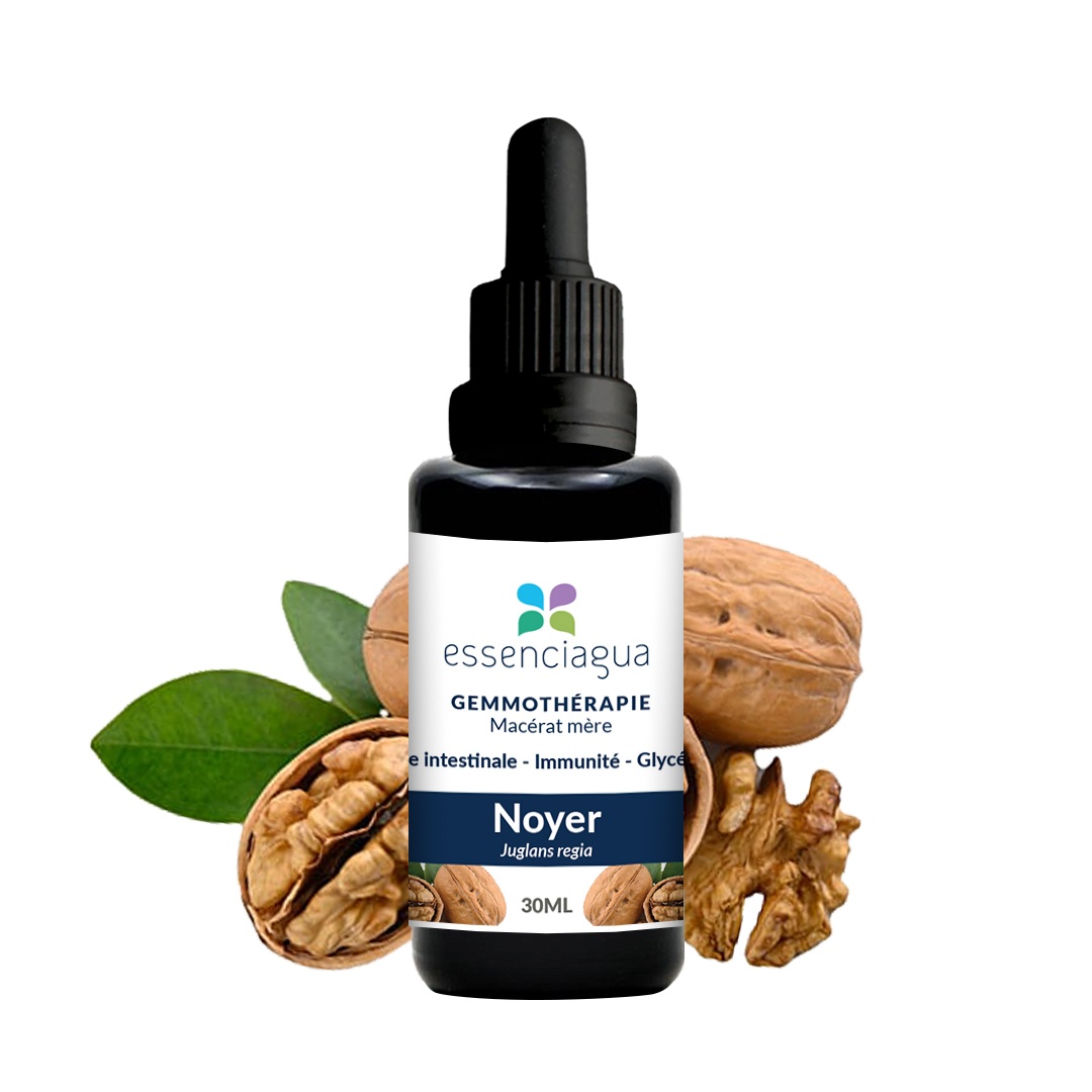 Macerado de brotes de nuez 100% ecológico y artesanal