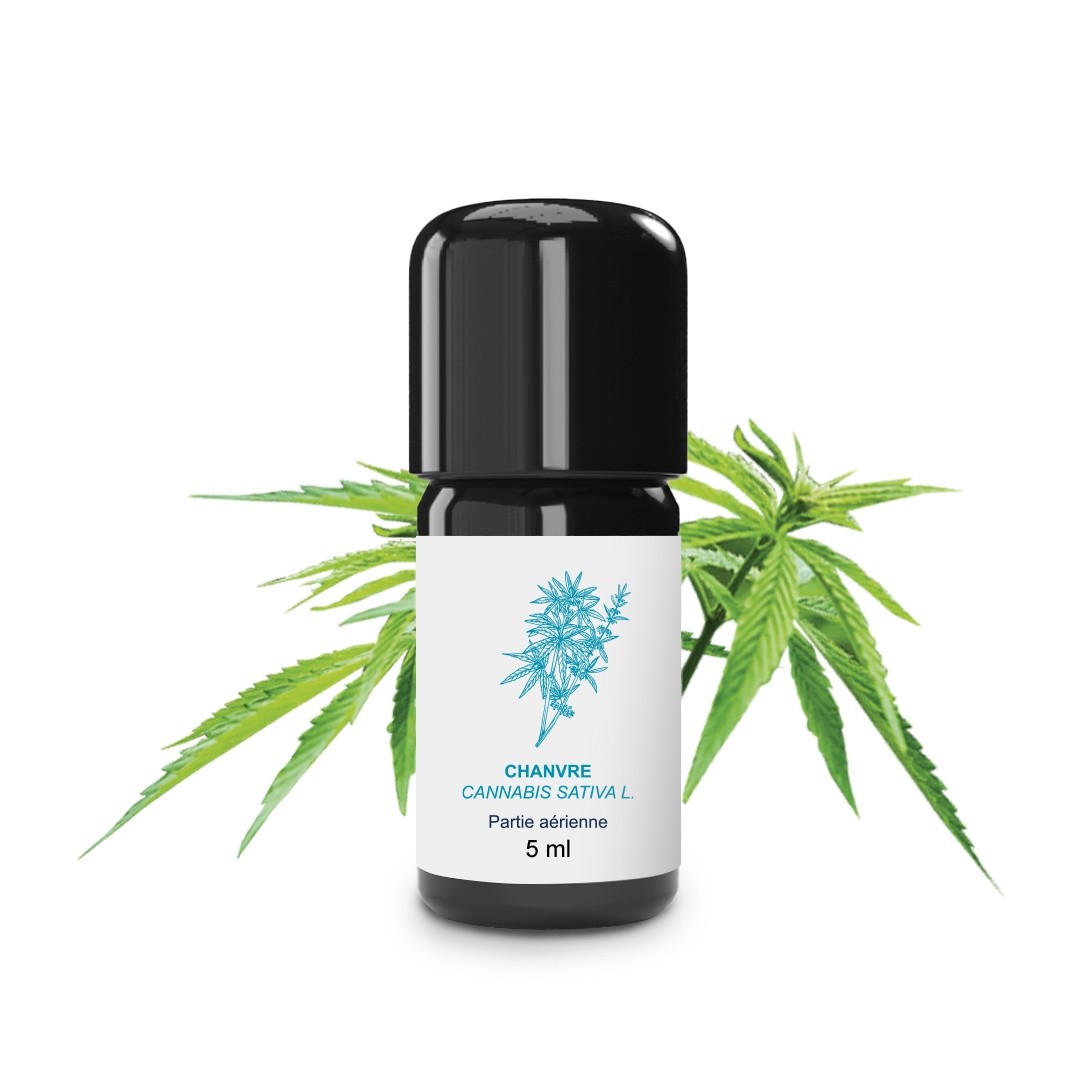 Aceite esencial de cáñamo 100% ecológico y artesanal