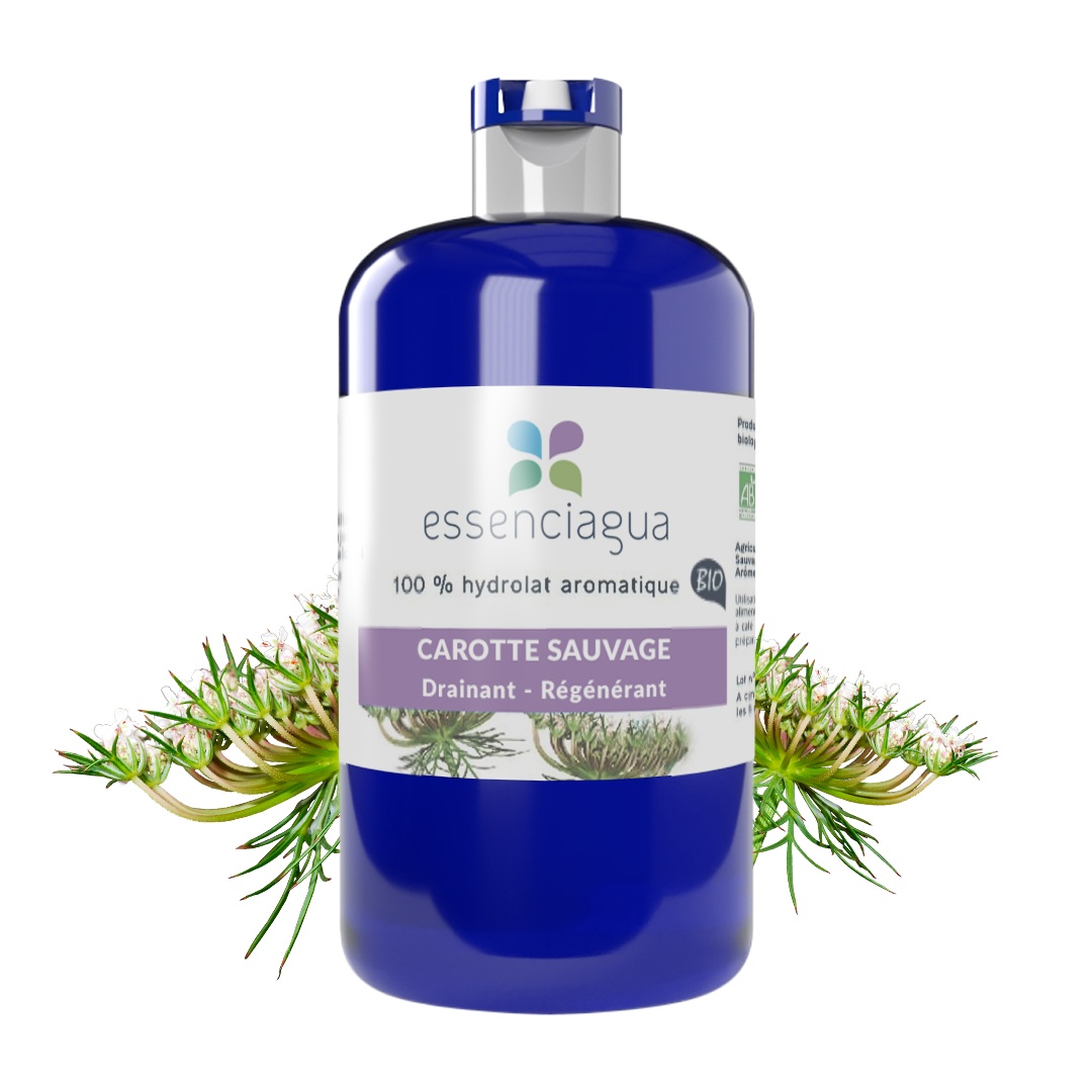 Hidrolato de zanahoria silvestre 100% ecológico y artesanal