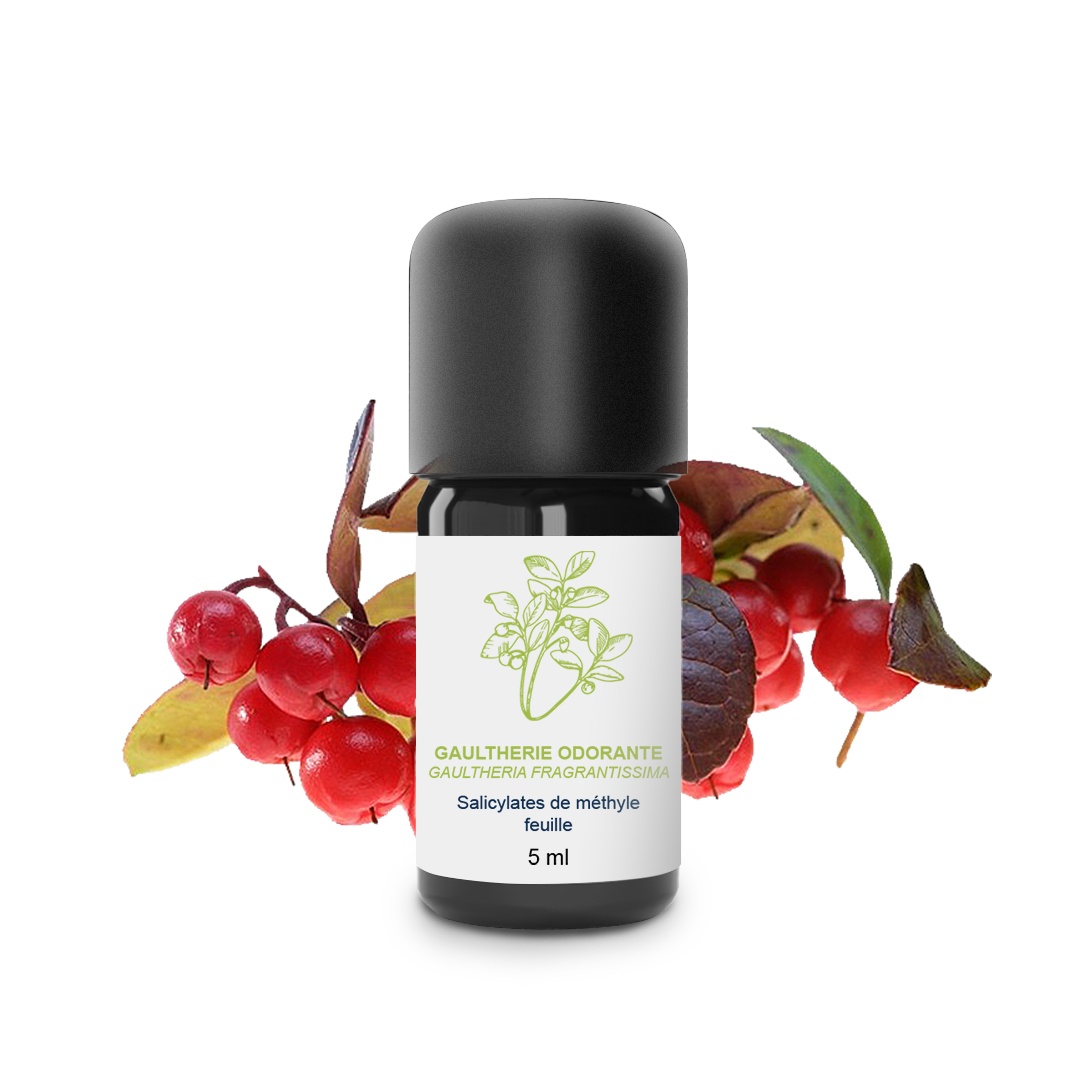 Aceite esencial de gaulteria 100% orgánico y artesanal