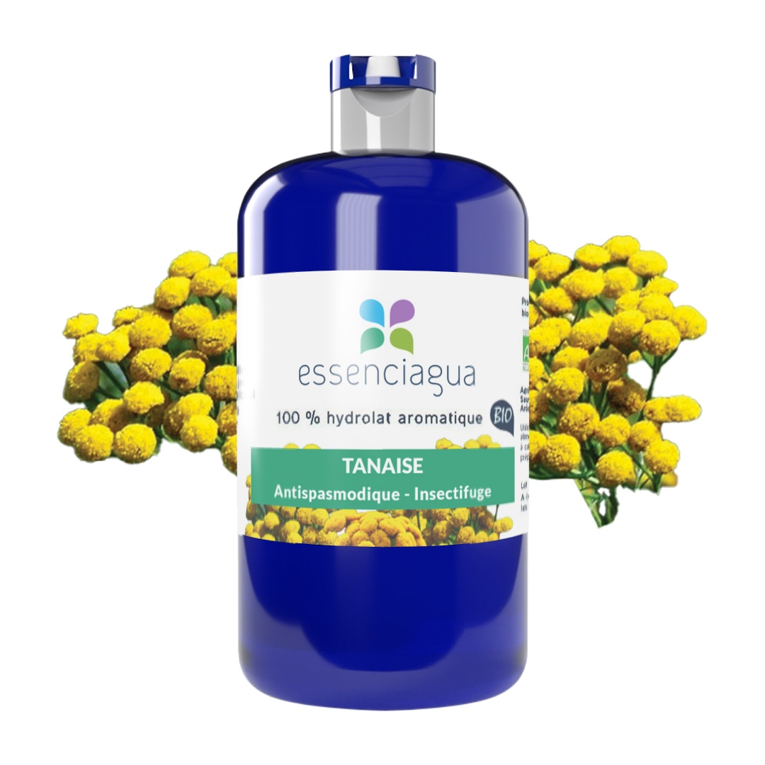 Hidrolato de tanaceto 100% ecológico y artesanal