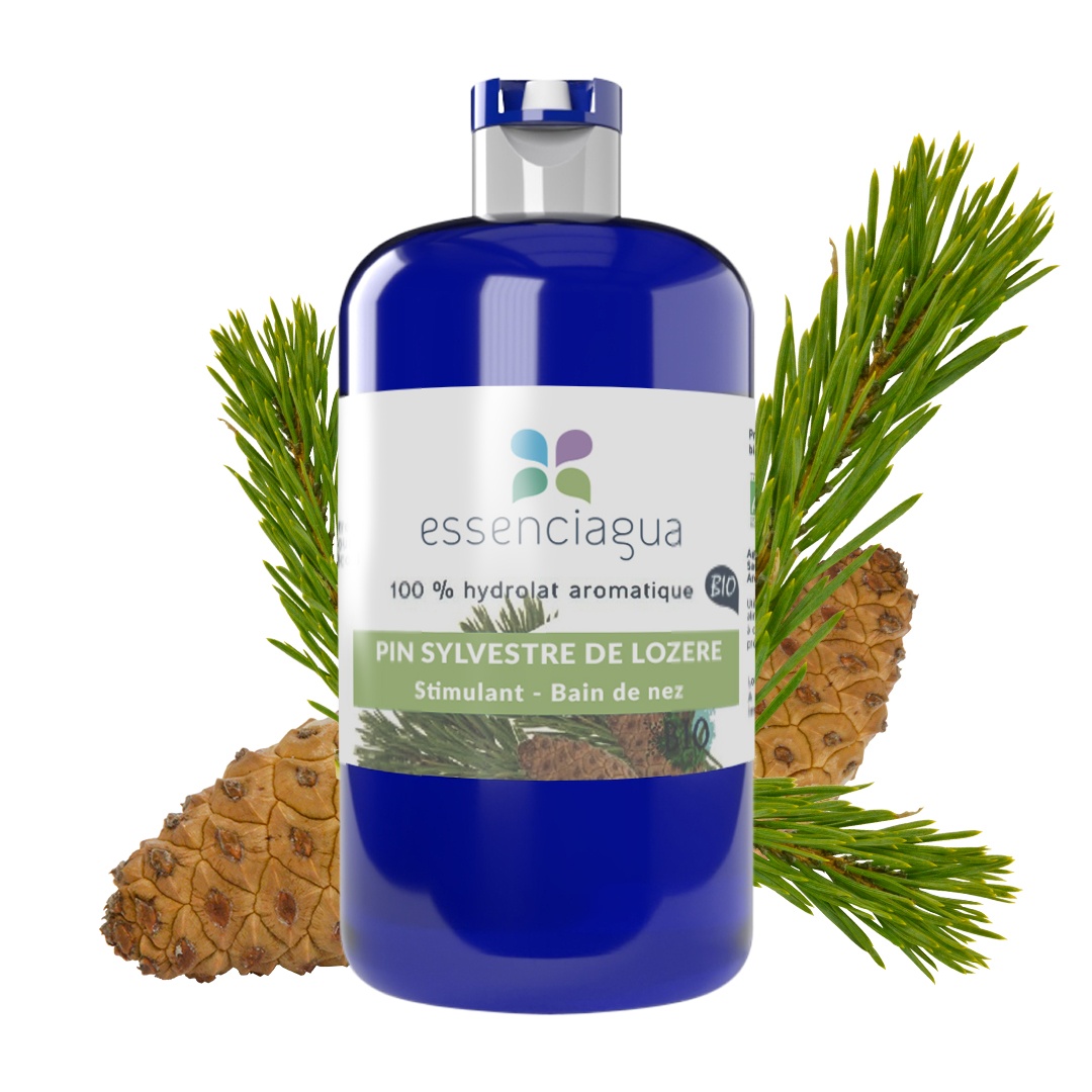 Hidrolato de pino silvestre 100% ecológico y artesanal