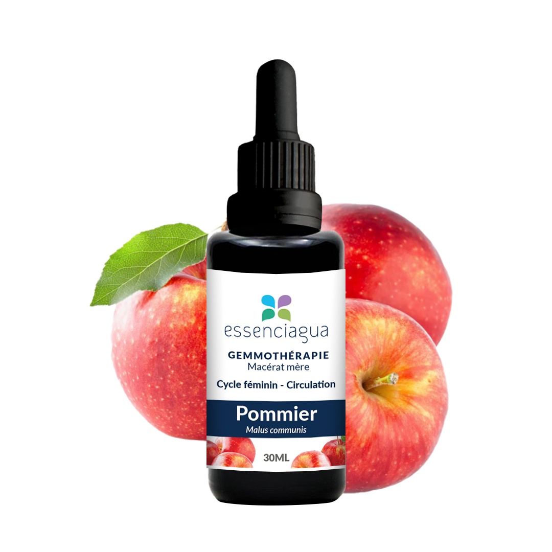 Macerado de yemas de manzano 100% ecológico y artesanal