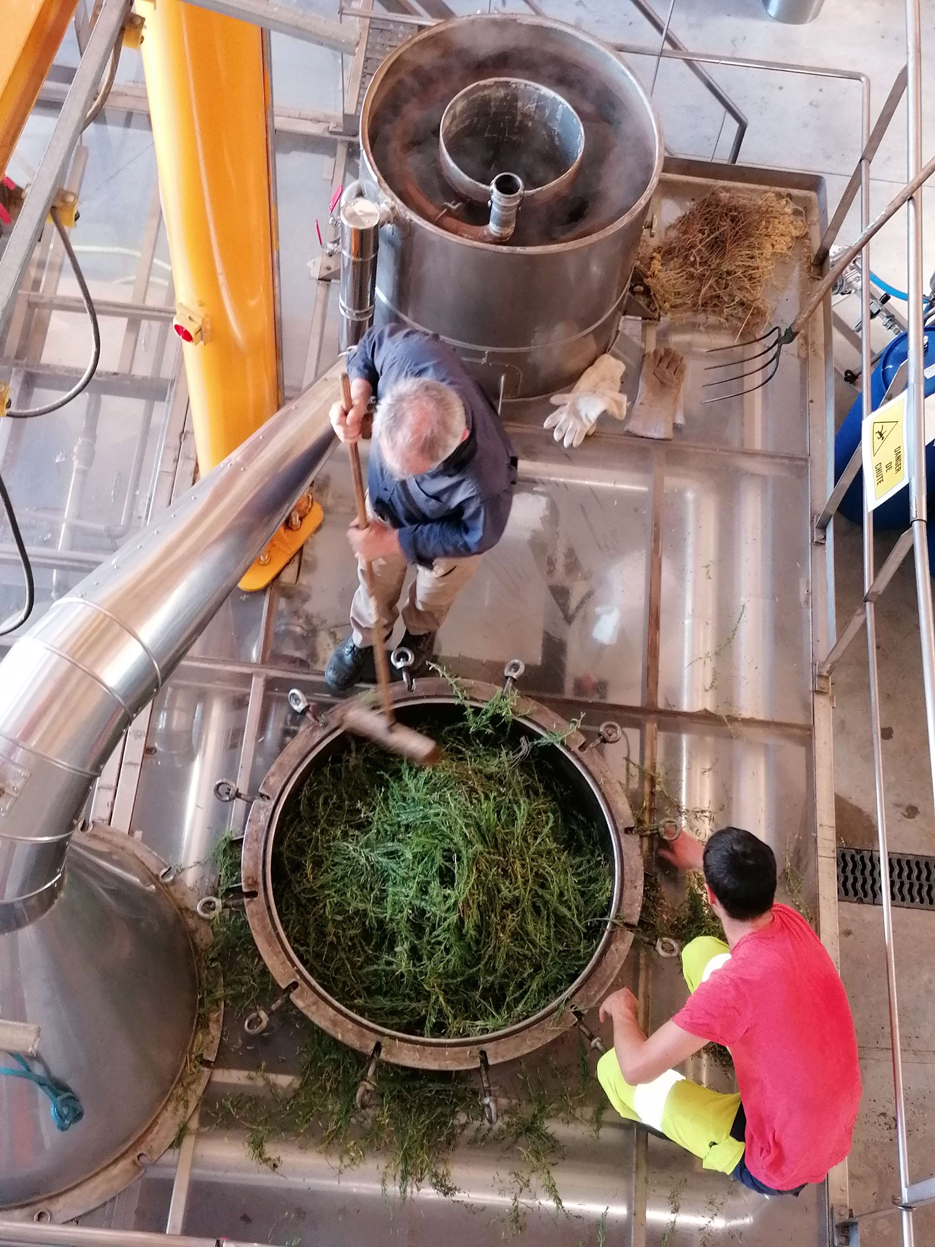 Decouvrez la distillation Hidrolato de Ajedrea de Montaña 100% Ecológico y Artesanal