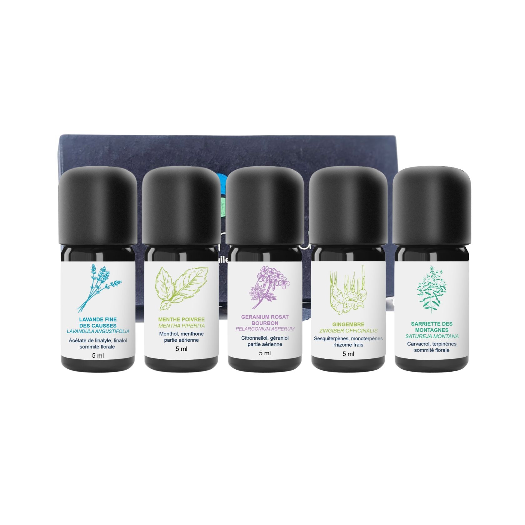 Kit de aceites esenciales Bon Voyage 100% ecológicos y artesanales