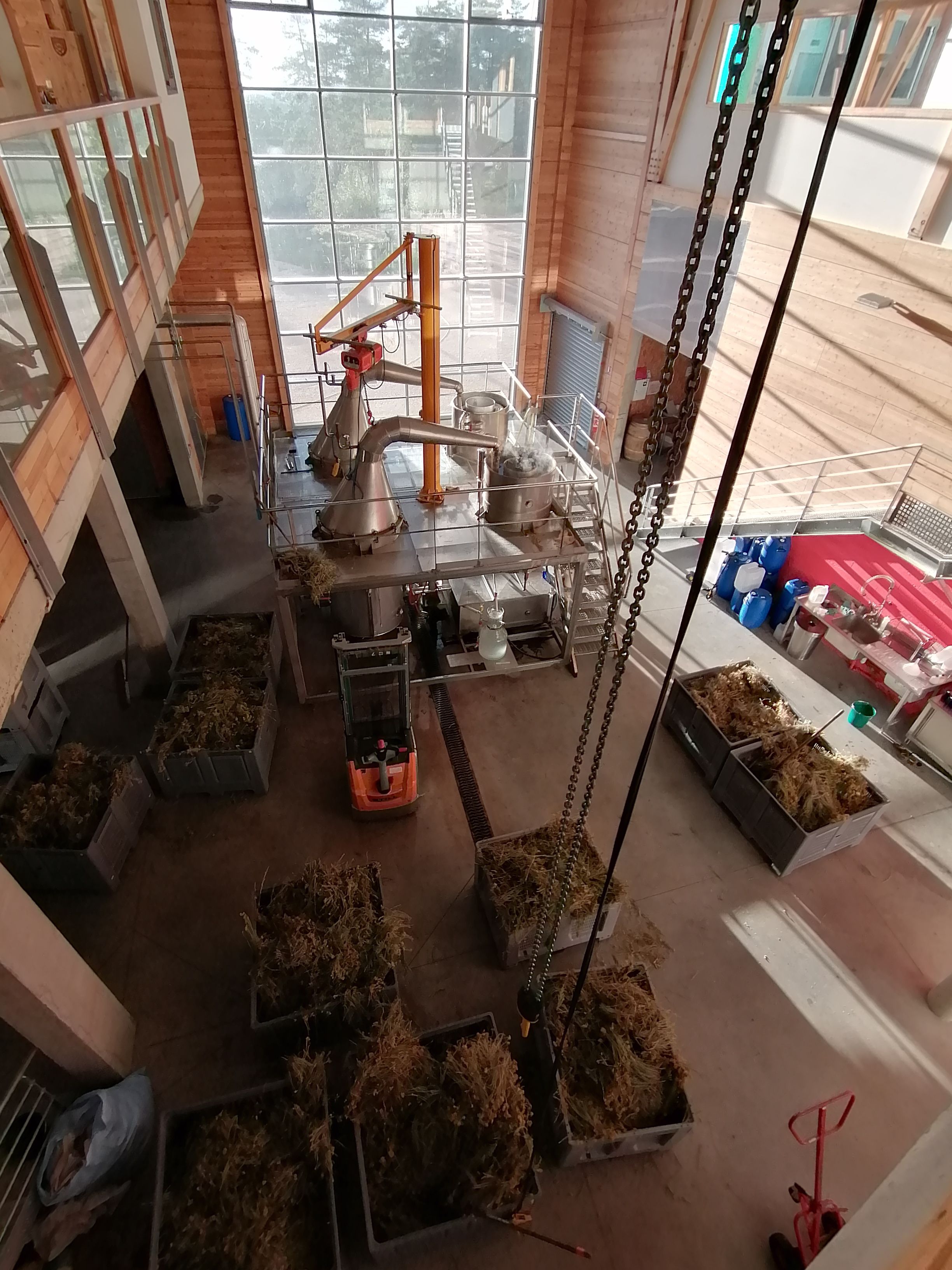 Decouvrez la distillation Aceite esencial de helicriso italiano 100% ecológico y artesanal