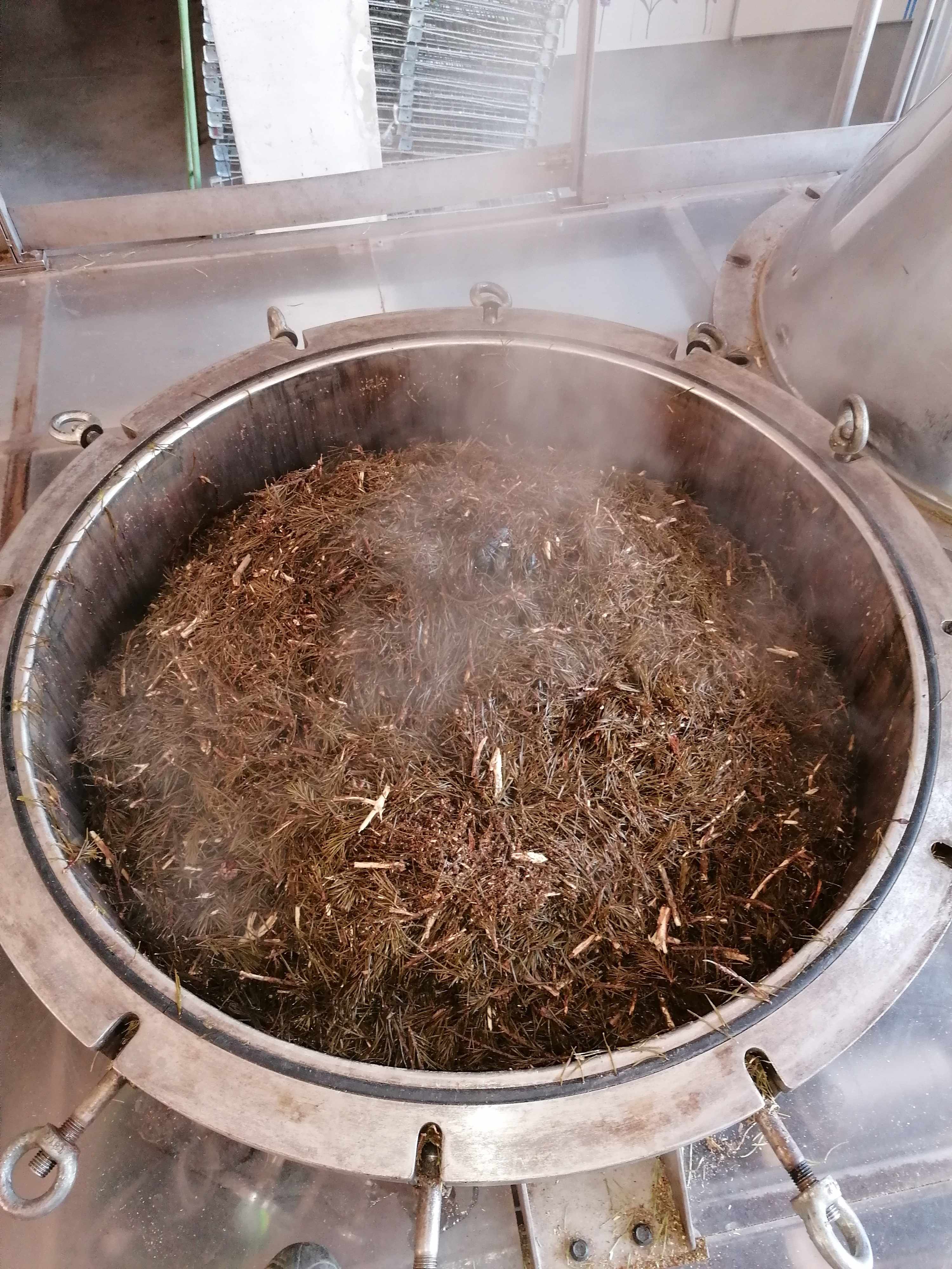 La destilación de Pino silvestre