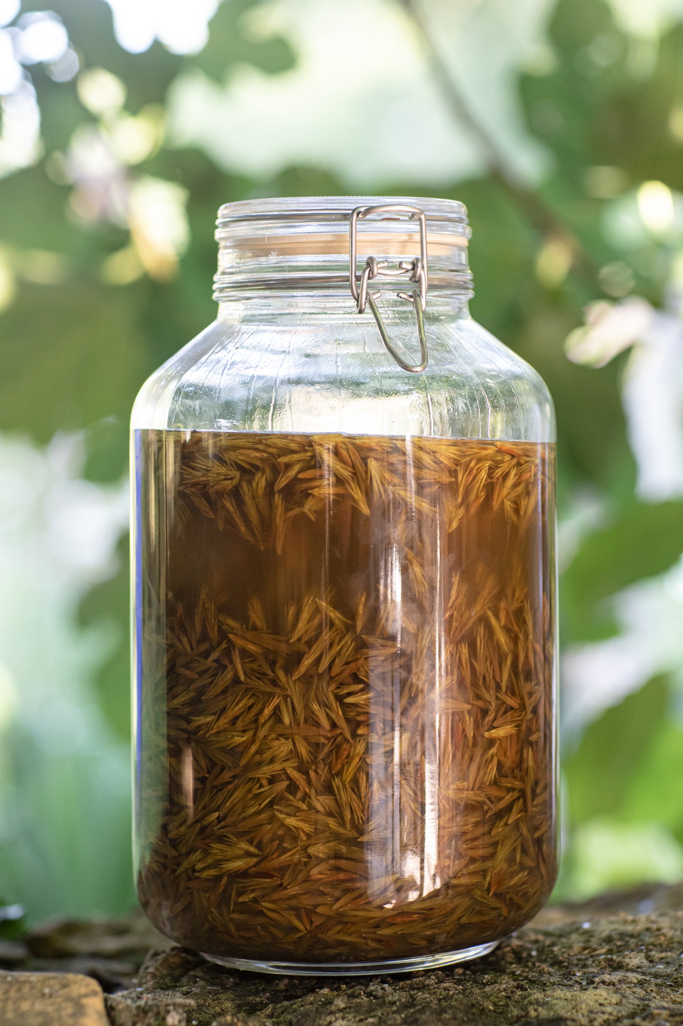 Decouvrez la distillation Macerado de brotes de frambuesa 100% ecológico y artesanal