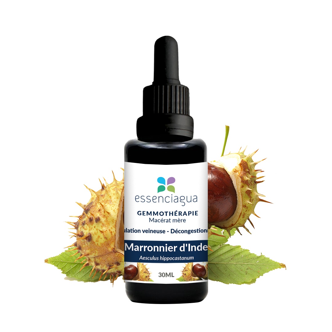 Macerado de yemas de Castaño de Indias 100% ecológico y artesanal