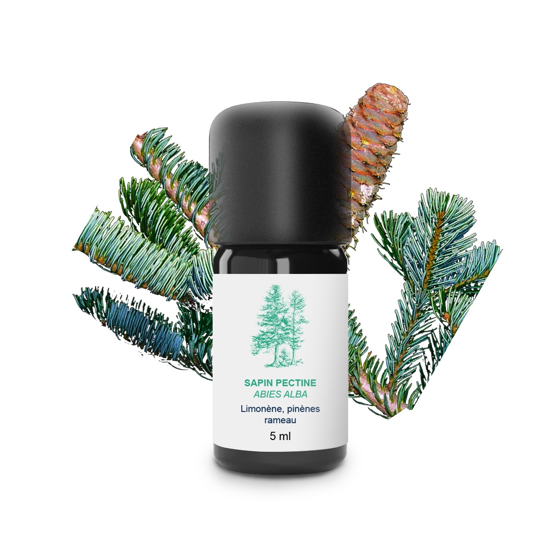 Aceite esencial de abeto 100% ecológico y artesanal