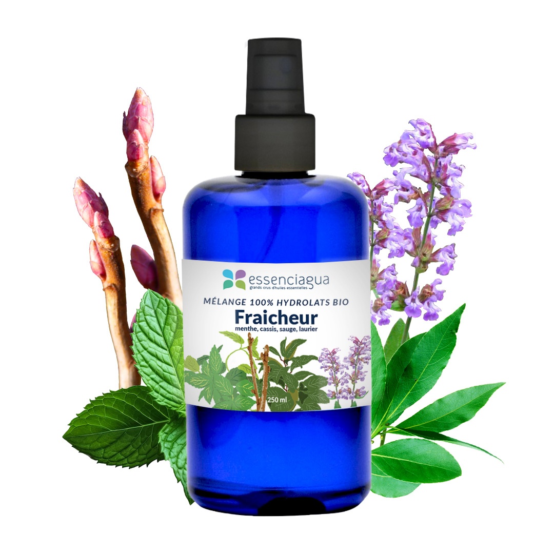 Mezcla de hidrolato aromático de frescor