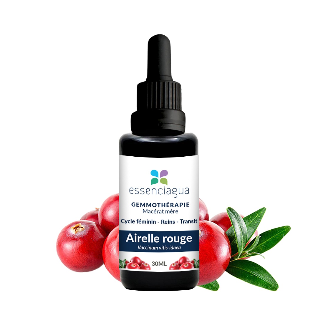 Airelle rouge macerado de yemas bio 100% bio y artesanal