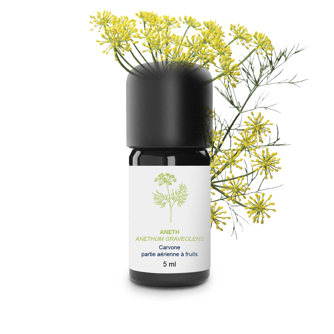 Aceite esencial de eneldo 100% ecológico y artesanal