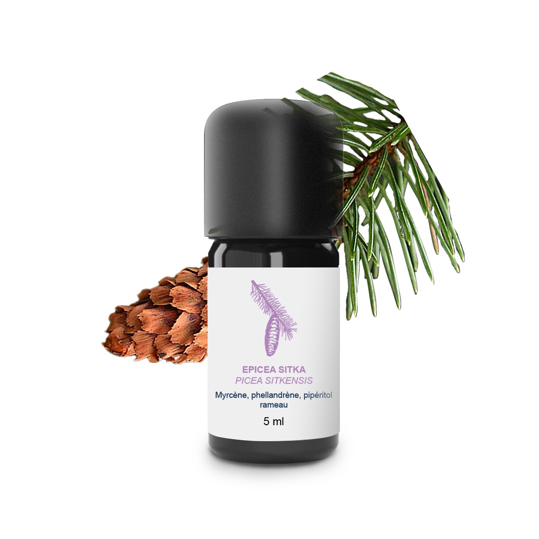 Aceite esencial de Epicea sitka 100% orgánico y artesanal
