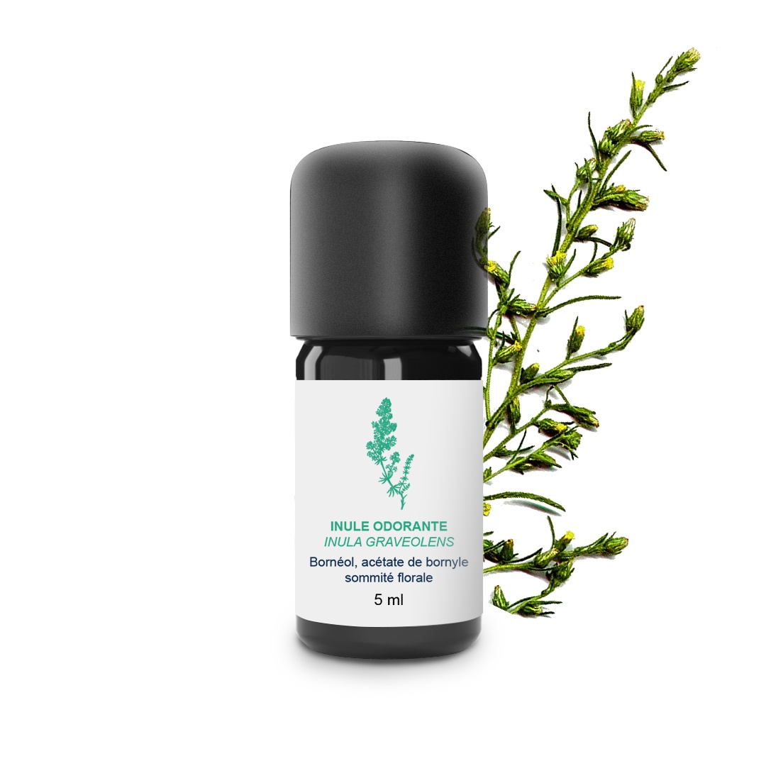 Aceite esencial de inula 100% ecológico y artesanal