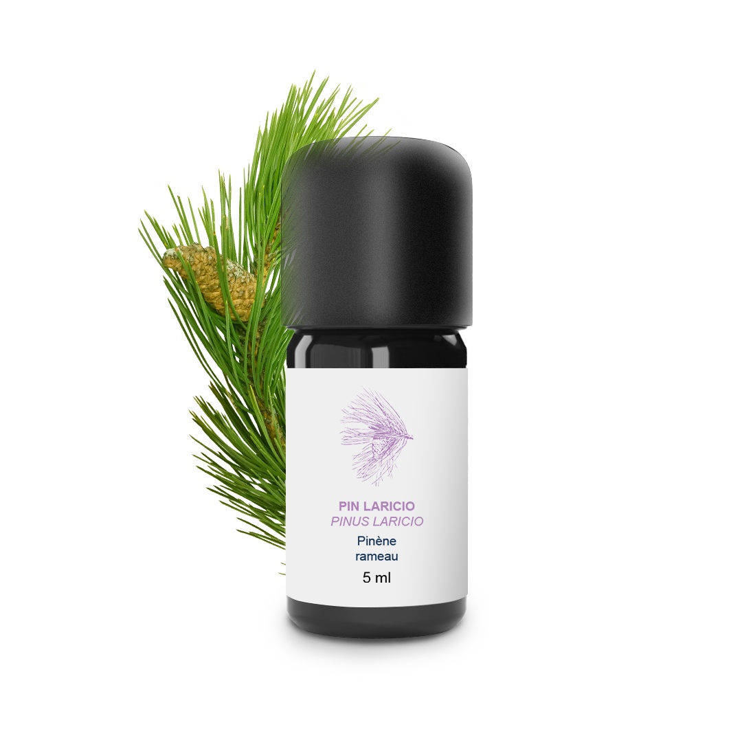 Aceite esencial de pino alerce 100% ecológico y artesanal