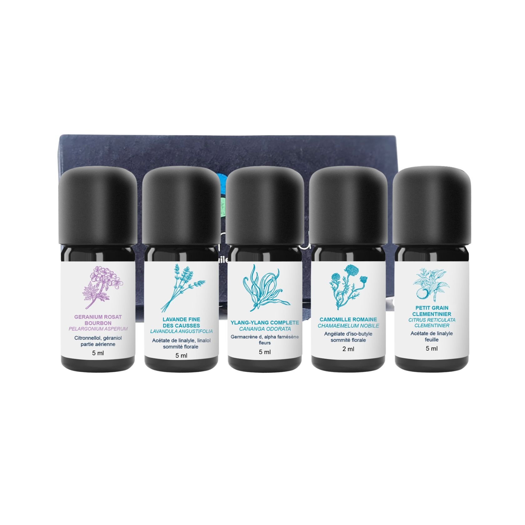 Kit de Aceites Esenciales Cocooning 100% Orgánicos y Artesanales