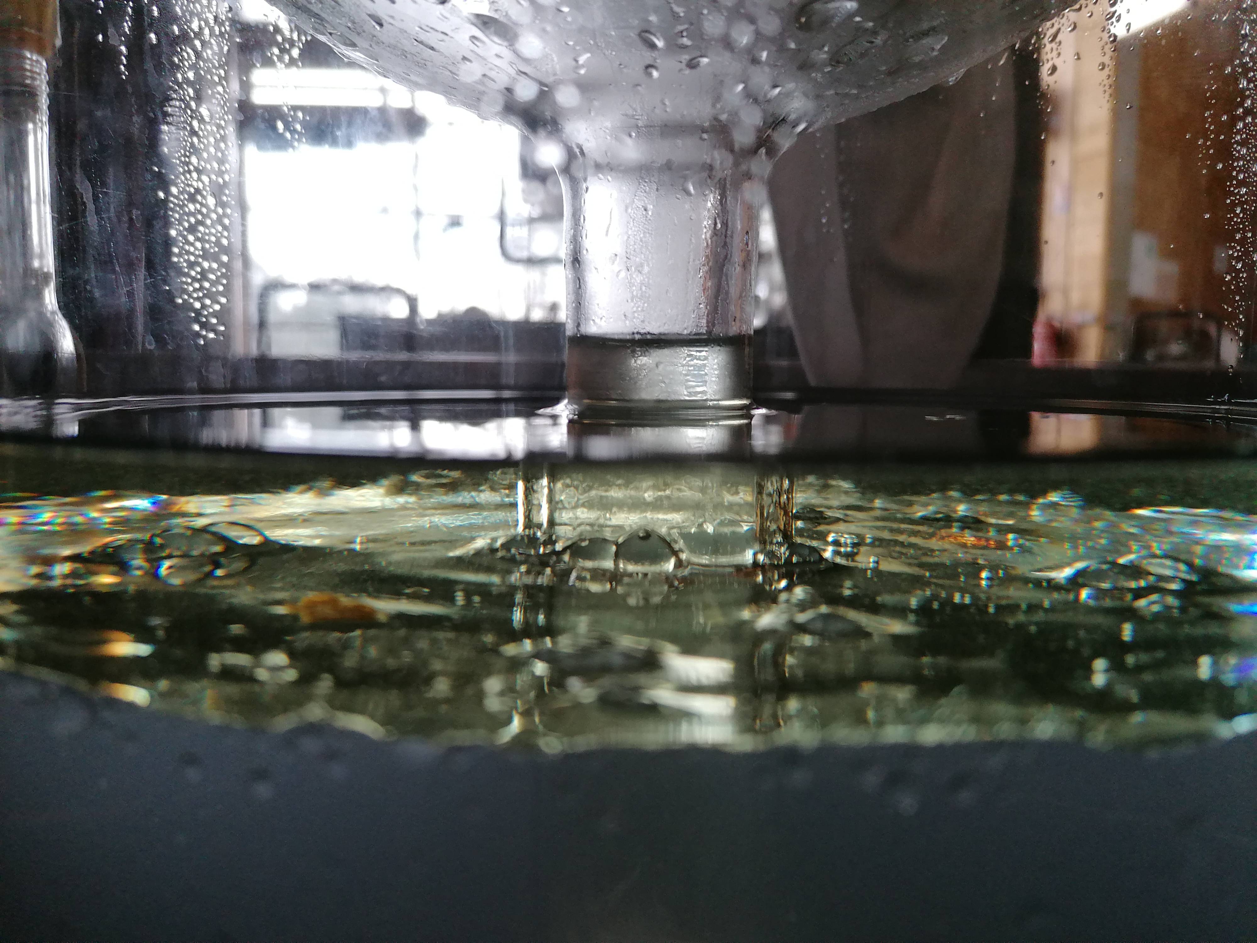 Decouvrez la distillation Aceite esencial de enebro 100% ecológico y artesanal