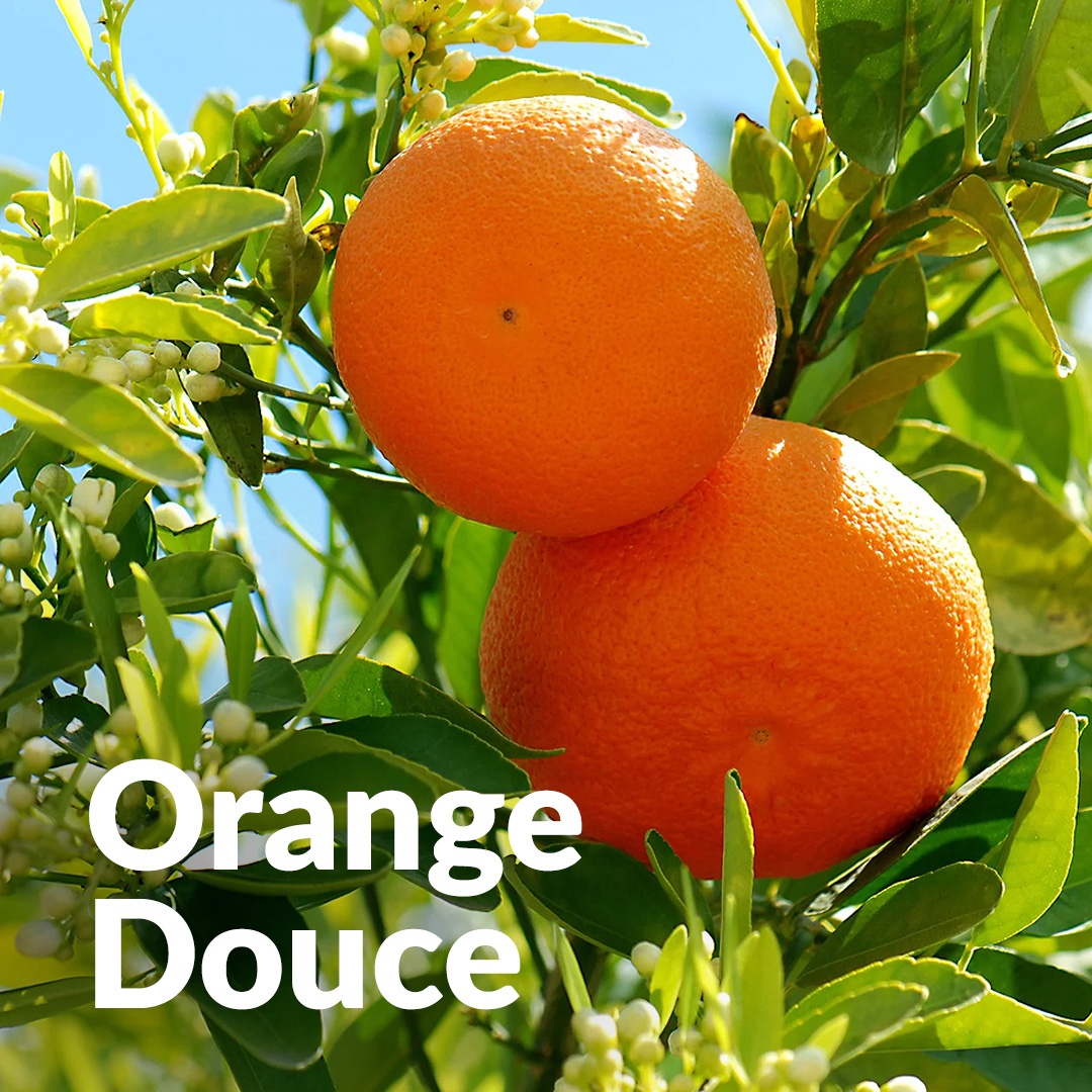 Naranja dulce