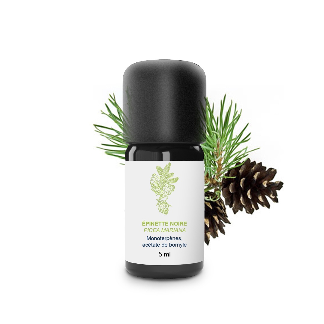 Aceite esencial de abeto negro 100% ecológico y artesanal